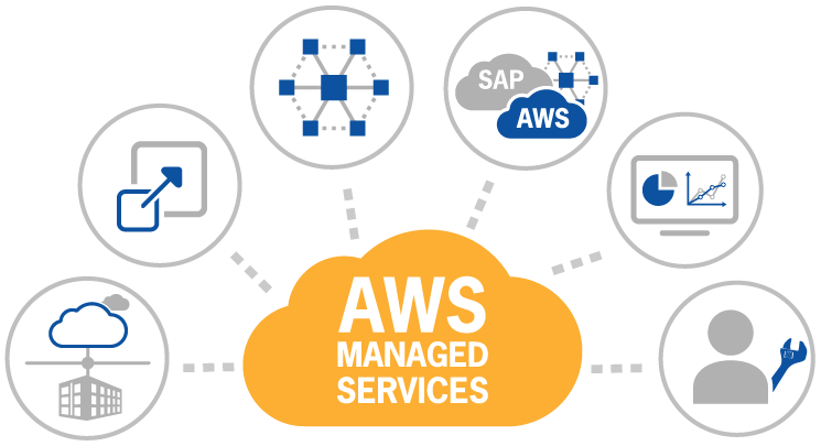 AWS professionals